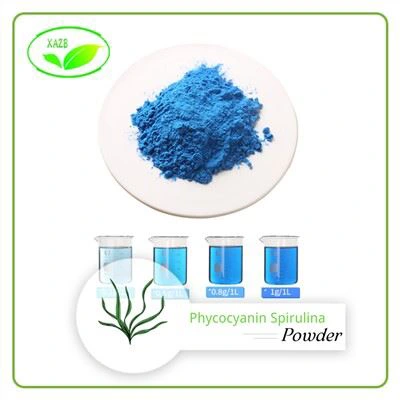 Phycocyanin Powder